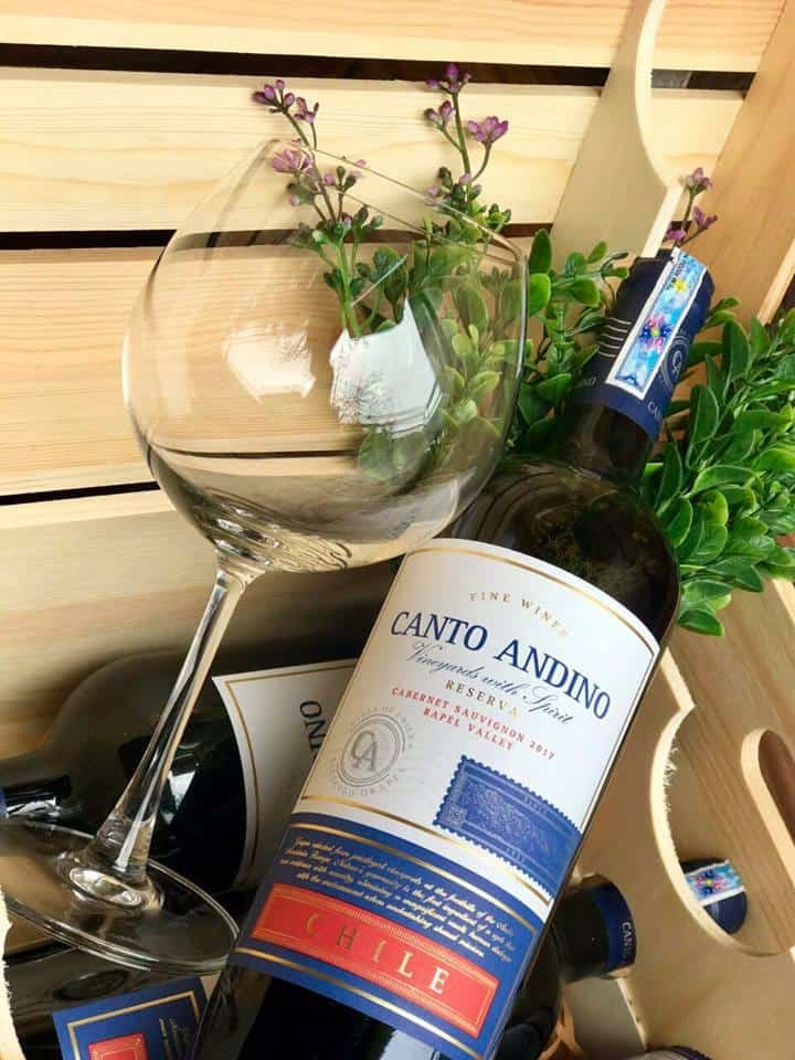 Rượu vang Chile Canto Andino Reserva Cabernet Sauvignon