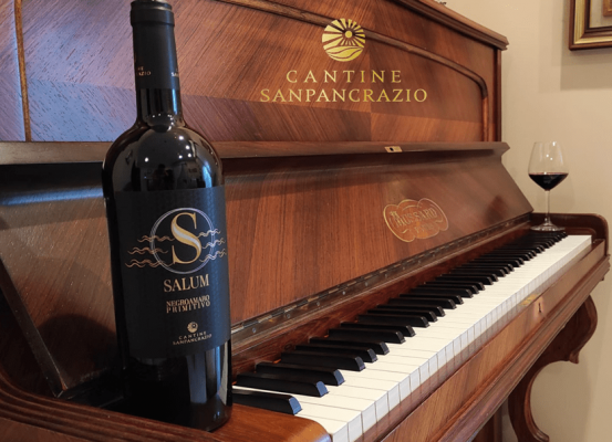 Rượu vang Ý Salum S Negroamaro- Primitivo
